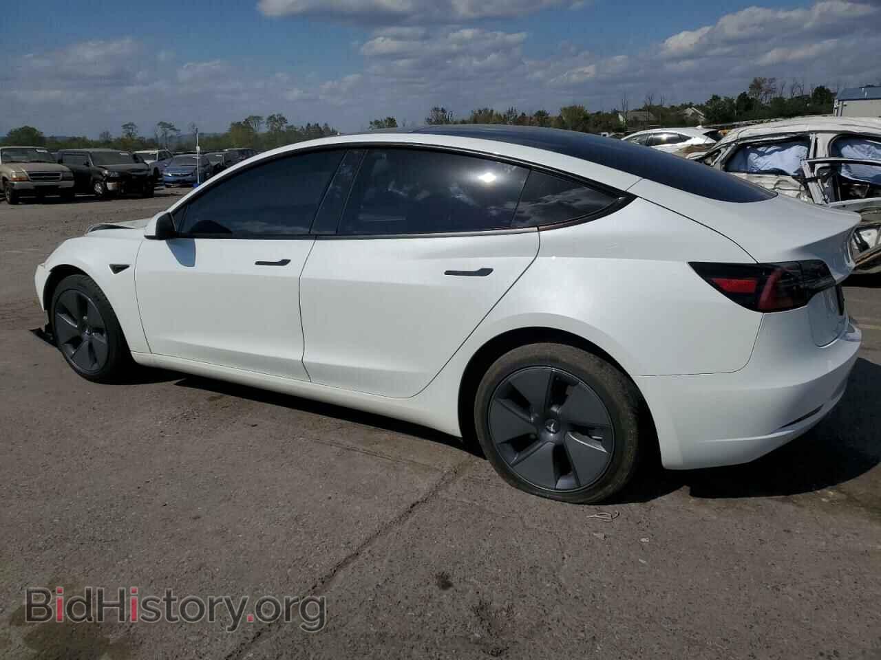 2023 TESLA MODEL 3 - VIN: 5YJ3E1EA5PF454360 - Photo 2