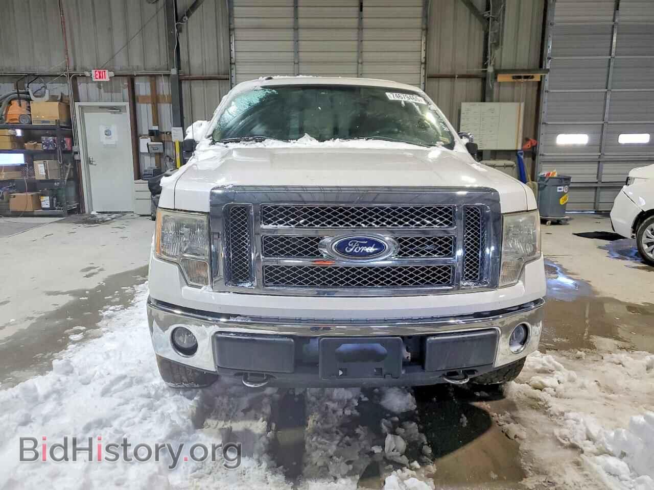 2010 FORD F-150 - VIN: 1FTFW1EV8AFD88516 - Фото 5