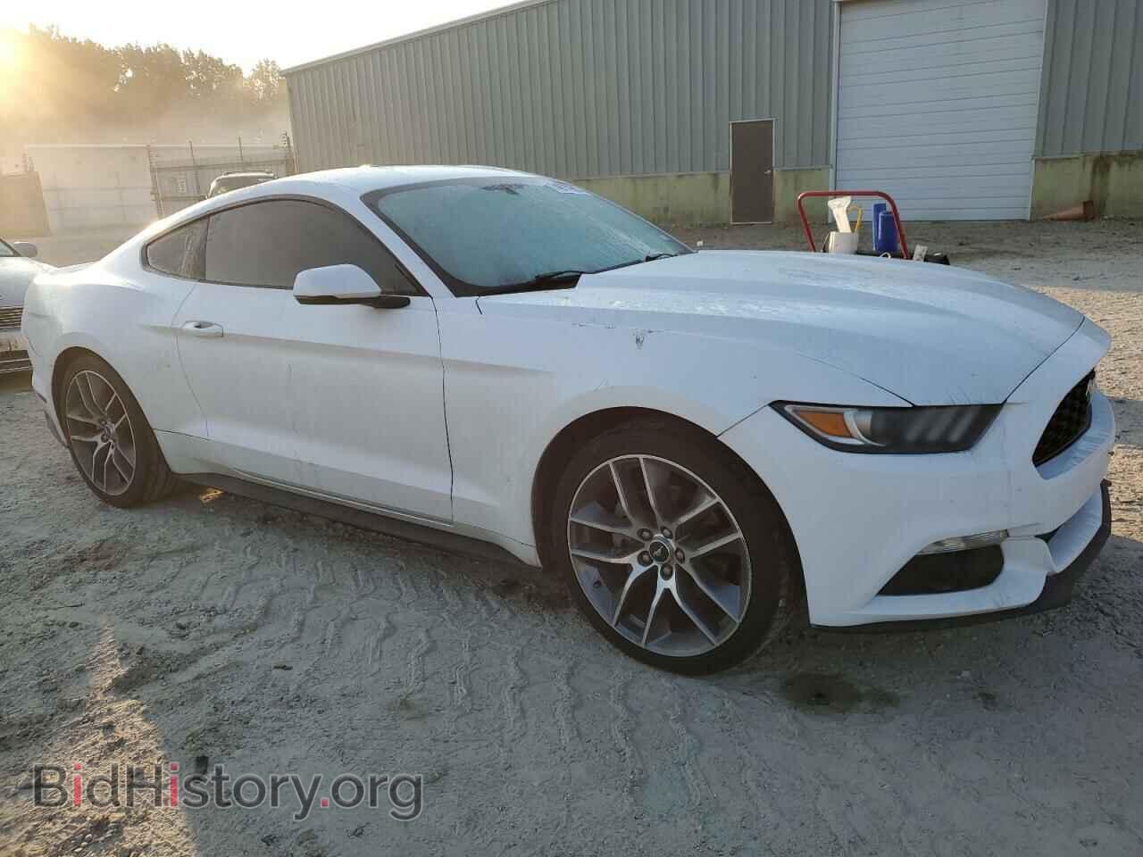 2017 FORD ALL Models - VIN: 1FA6P8TH0H5202332 - Фото 4