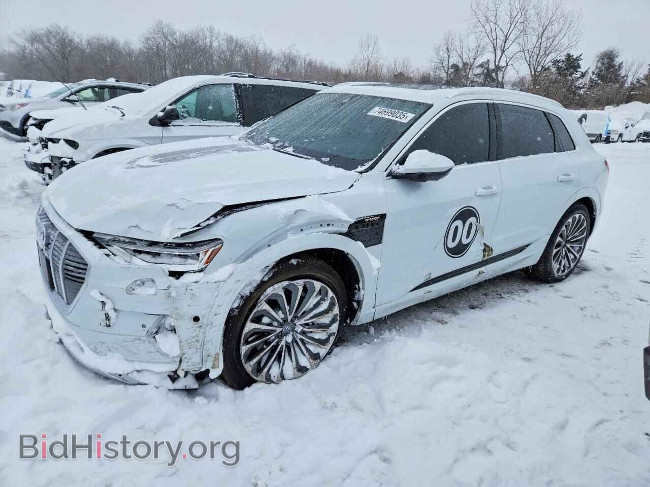 Фотография WA1VABGE4KB013254 - AUDI E-TRON 2019
