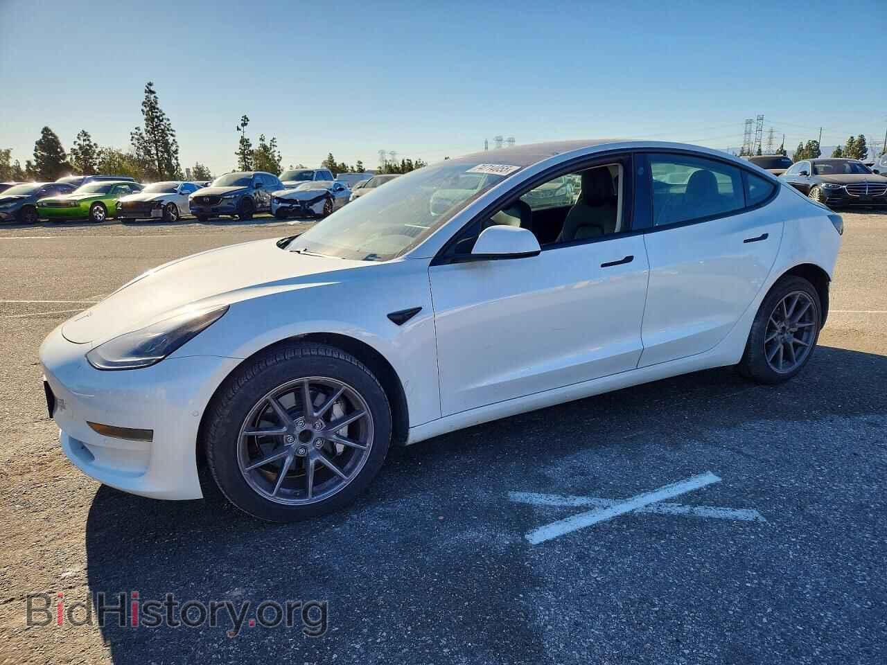 Photo 5YJ3E1EA4MF871562 - TESLA MODEL 3 2021