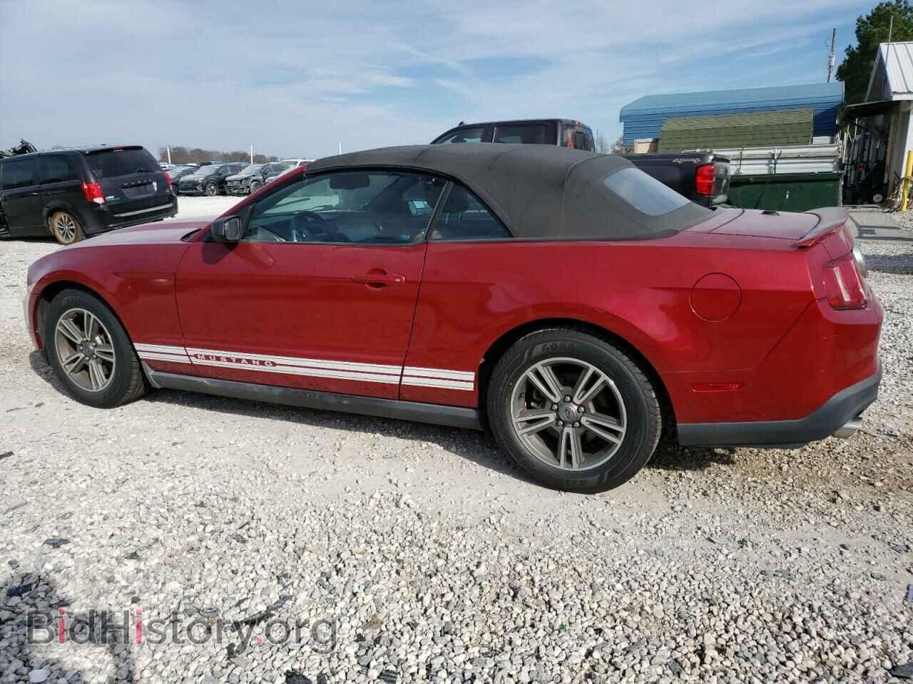 2011 FORD ALL Models - VIN: 1ZVBP8EM6B5116627 - Фото 2