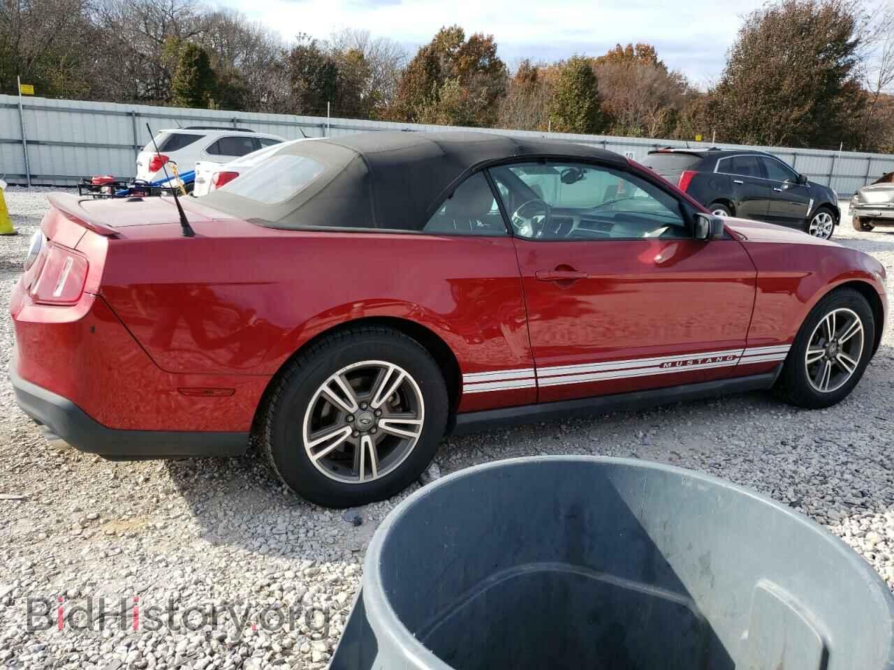 2011 FORD ALL Models - VIN: 1ZVBP8EM6B5116627 - Фото 3