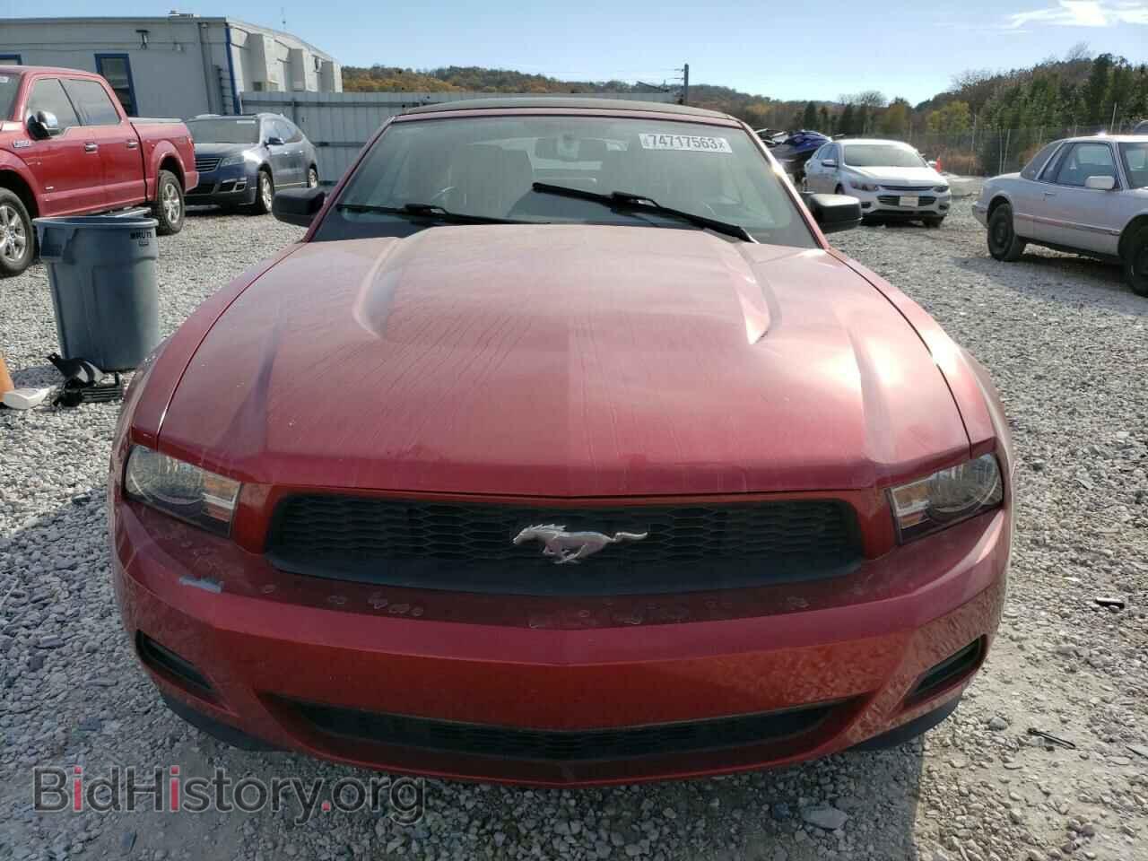 2011 FORD ALL Models - VIN: 1ZVBP8EM6B5116627 - Фото 5