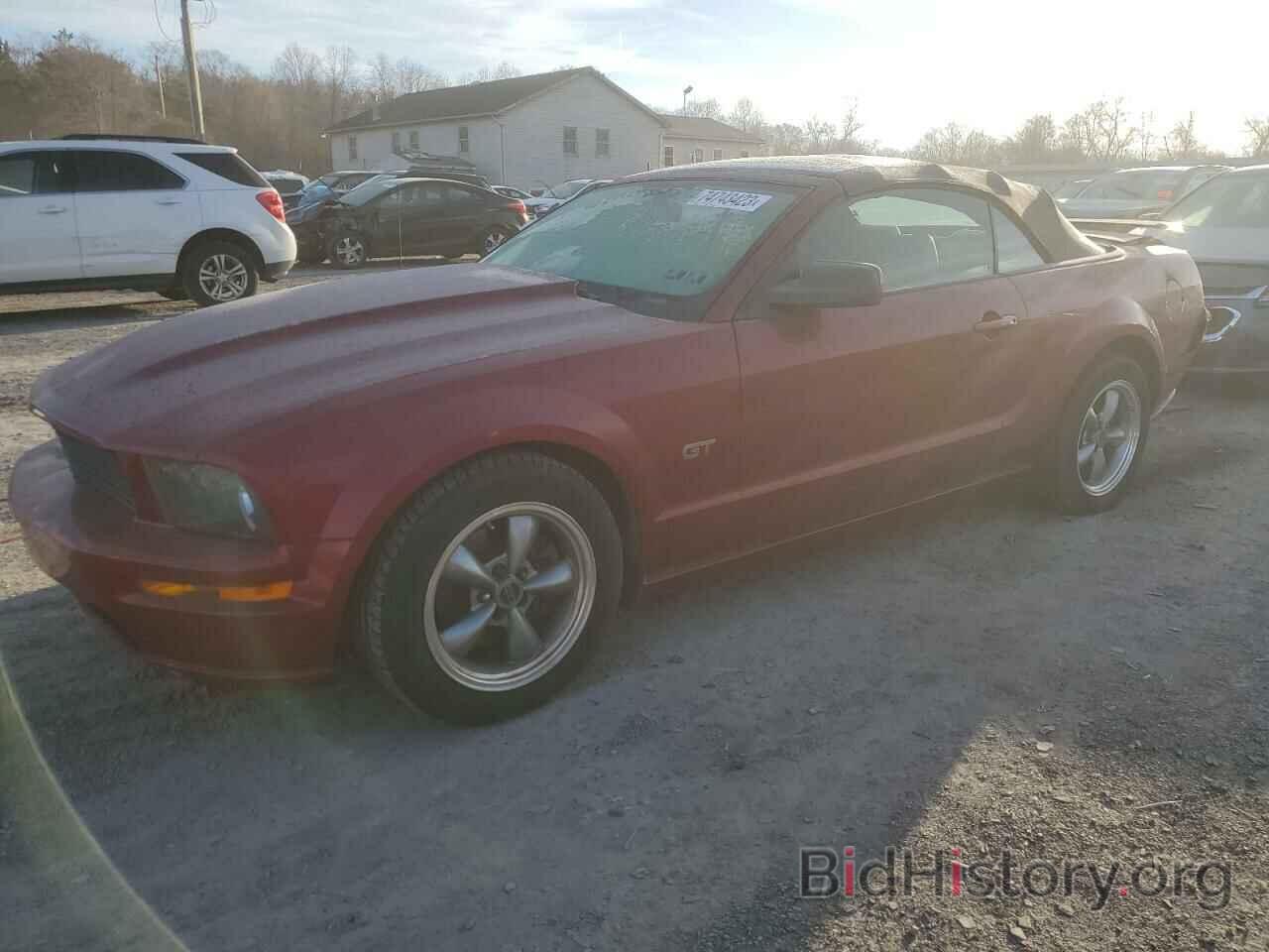 Photo 1ZVHT85H775196911 - FORD MUSTANG 2007