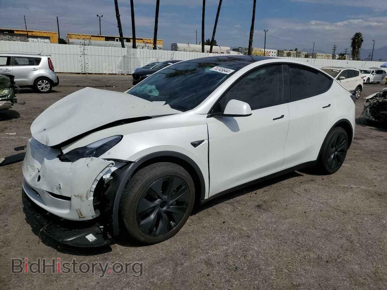 Фотография 7SAYGDEE5RF131663 - TESLA MODEL Y 2024