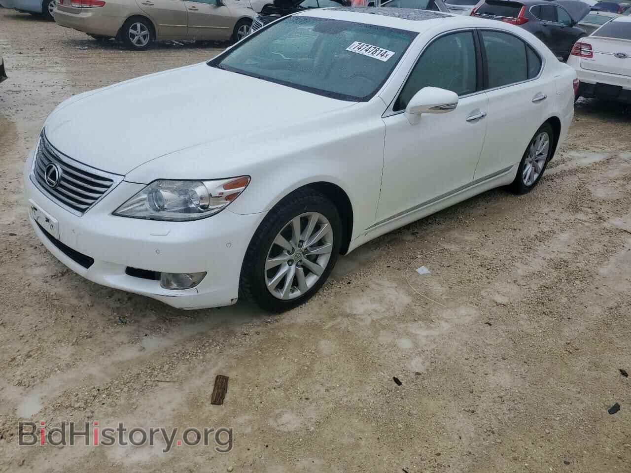 Photo JTHCL5EF6B5010552 - LEXUS LS460 2011