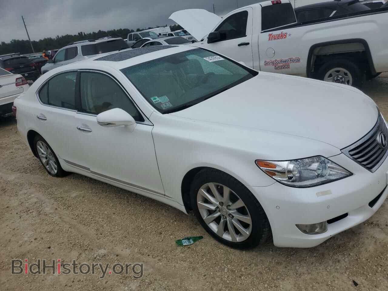 2011 LEXUS LS460 - VIN: JTHCL5EF6B5010552 - Фото 4