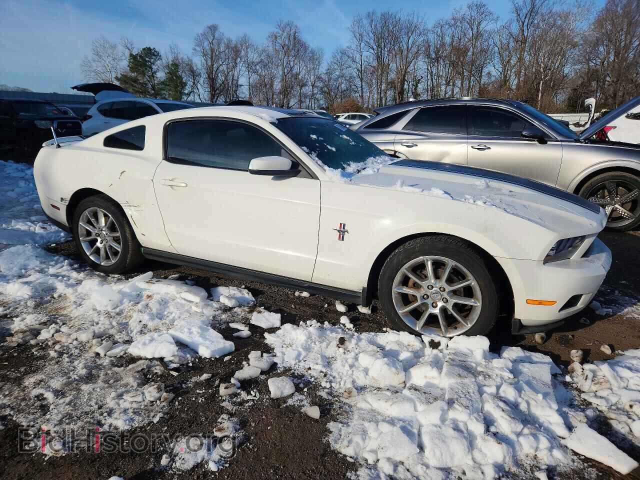 2010 FORD ALL Models - VIN: 1ZVBP8AN4A5156640 - Фото 4
