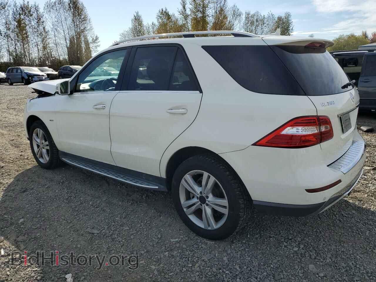 2012 MERCEDES-BENZ M-CLASS - VIN: 4JGDA2EB5CA085903 - Фото 2