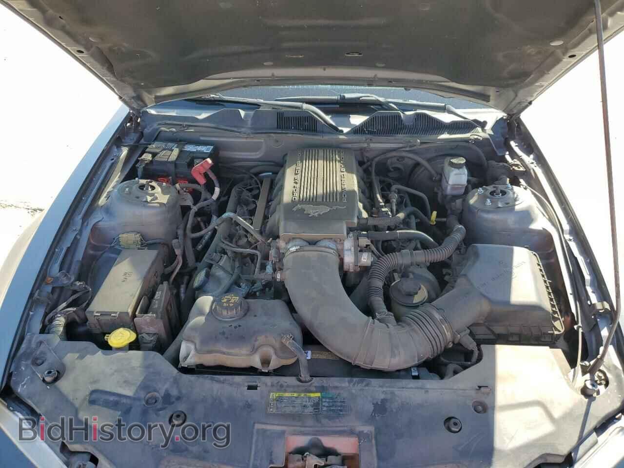 2010 FORD MUSTANG - VIN: 1ZVBP8CH8A5146961 - Фото 11