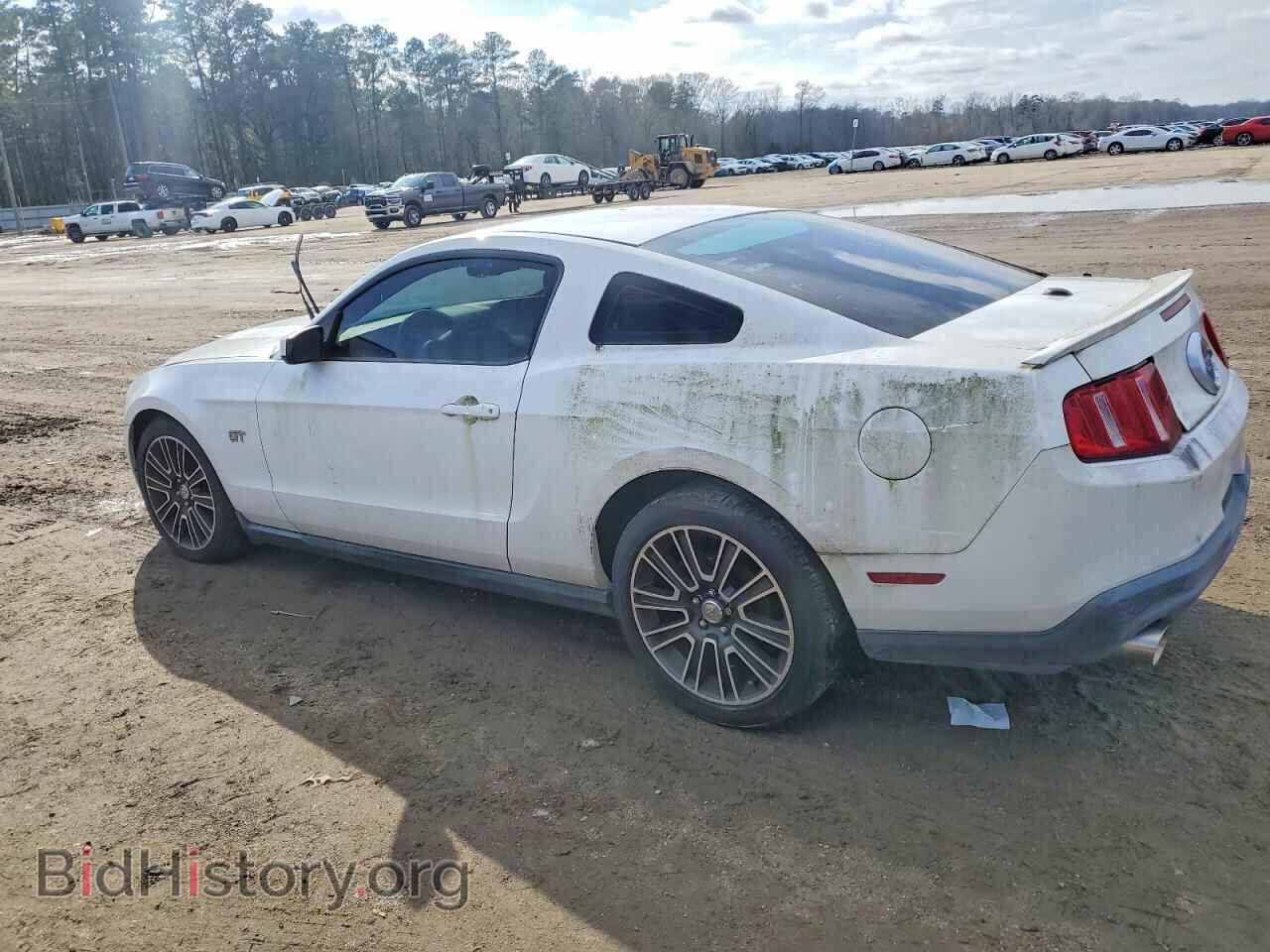 2010 FORD MUSTANG - VIN: 1ZVBP8CH7A5112736 - Фото 2