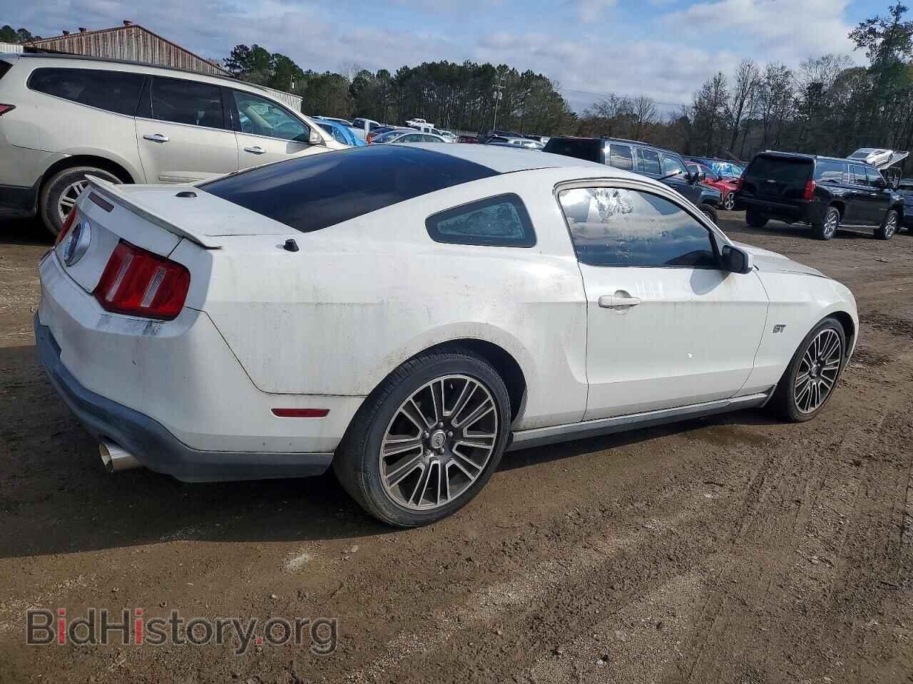 2010 FORD MUSTANG - VIN: 1ZVBP8CH7A5112736 - Фото 3