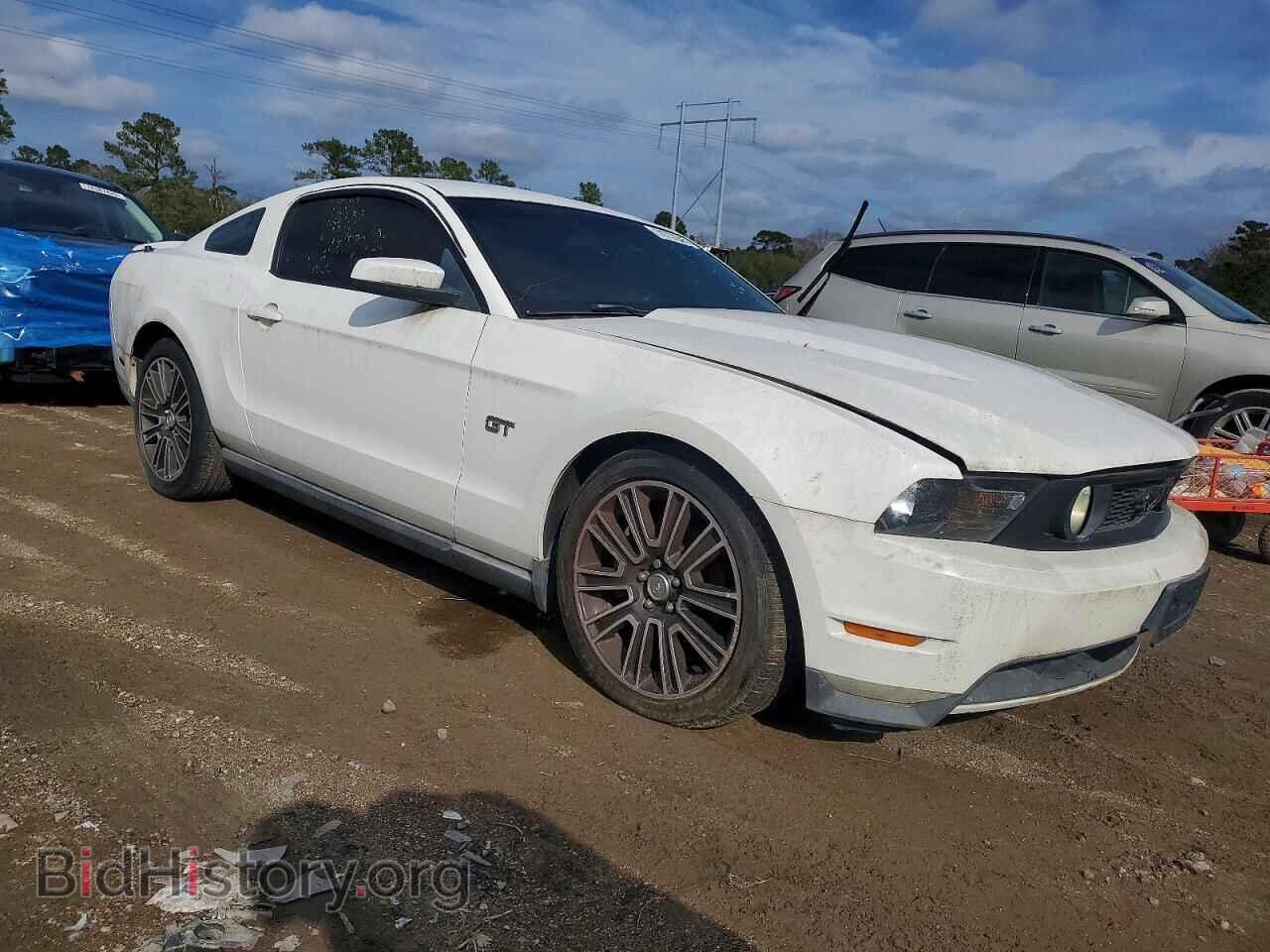 2010 FORD MUSTANG - VIN: 1ZVBP8CH7A5112736 - Фото 4