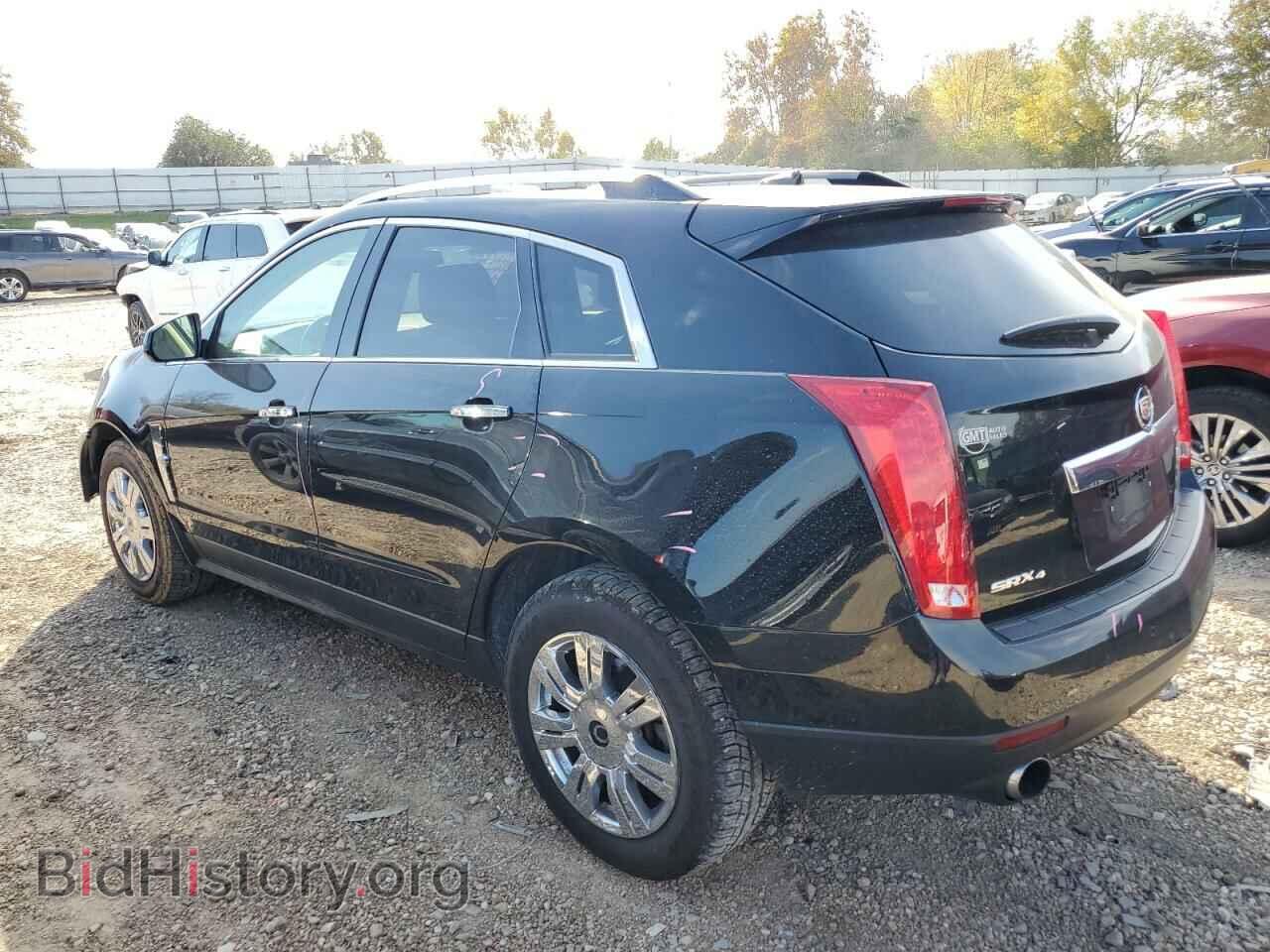 2011 CADILLAC SRX - VIN: 3GYFNDEY3BS555564 - Фото 2