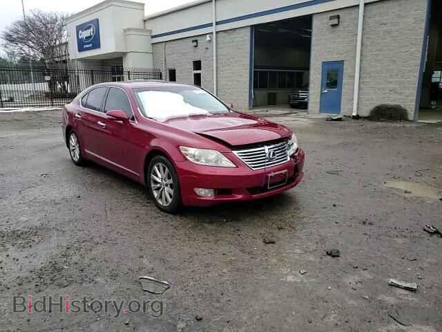 2010 LEXUS LS460 - VIN: JTHCL5EF8A5006419 - Фото 13