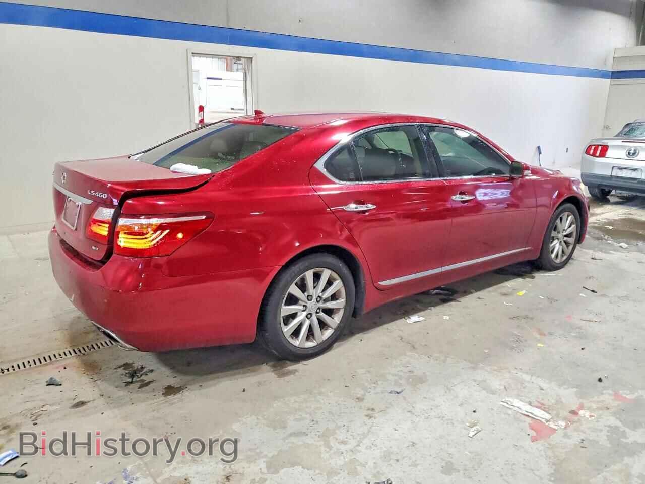 2010 LEXUS LS460 - VIN: JTHCL5EF8A5006419 - Фото 3