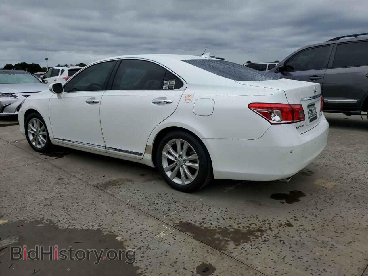 2010 LEXUS ES350 - VIN: JTHBK1EG8A2376805 - Фото 2