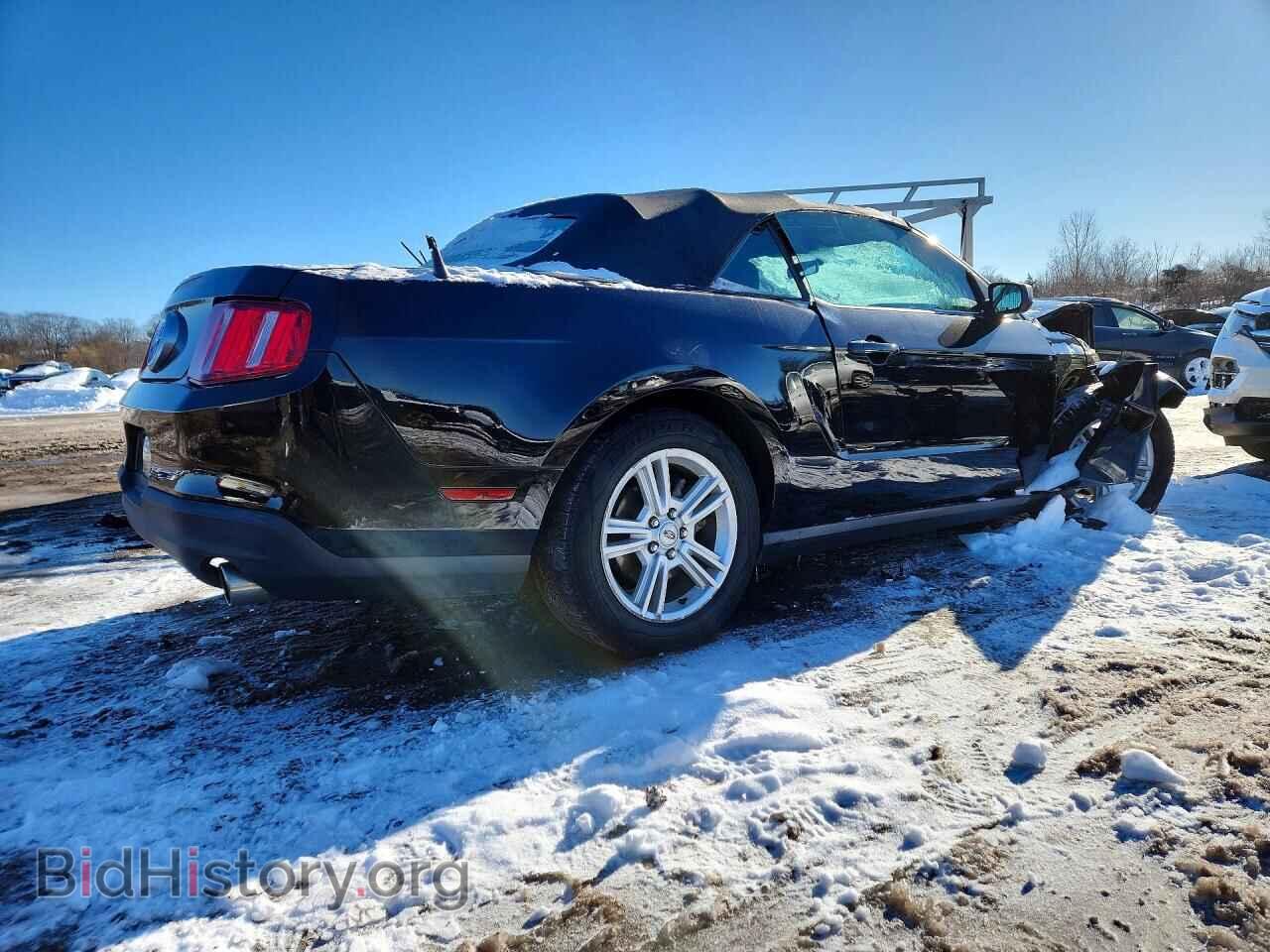 2010 FORD ALL Models - VIN: 1ZVBP8EN7A5114473 - Photo 3