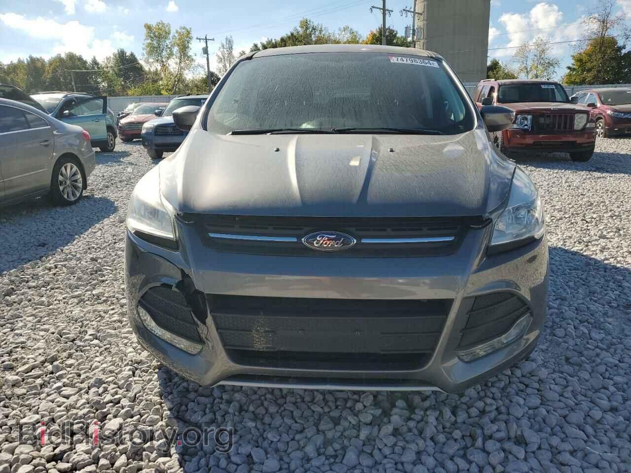 2014 FORD ESCAPE - VIN: 1FMCU0GX4EUD14704 - Фото 5