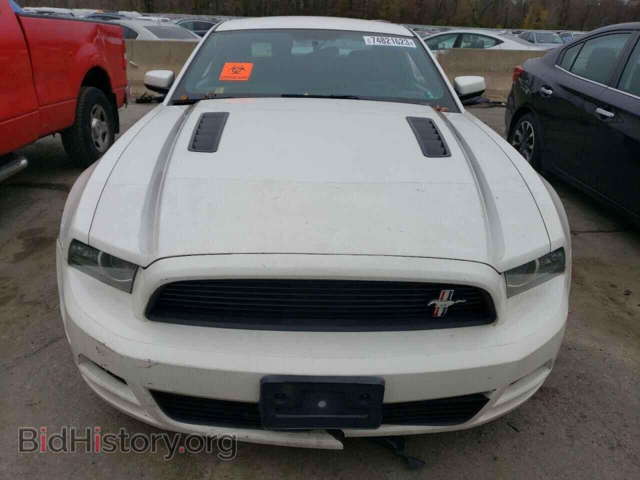 2013 FORD MUSTANG - VIN: 1ZVBP8CF8D5283580 - Фото 5