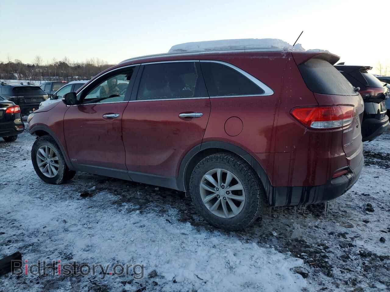 2017 KIA SORENTO - VIN: 5XYPGDA38HG247282 - Фото 2