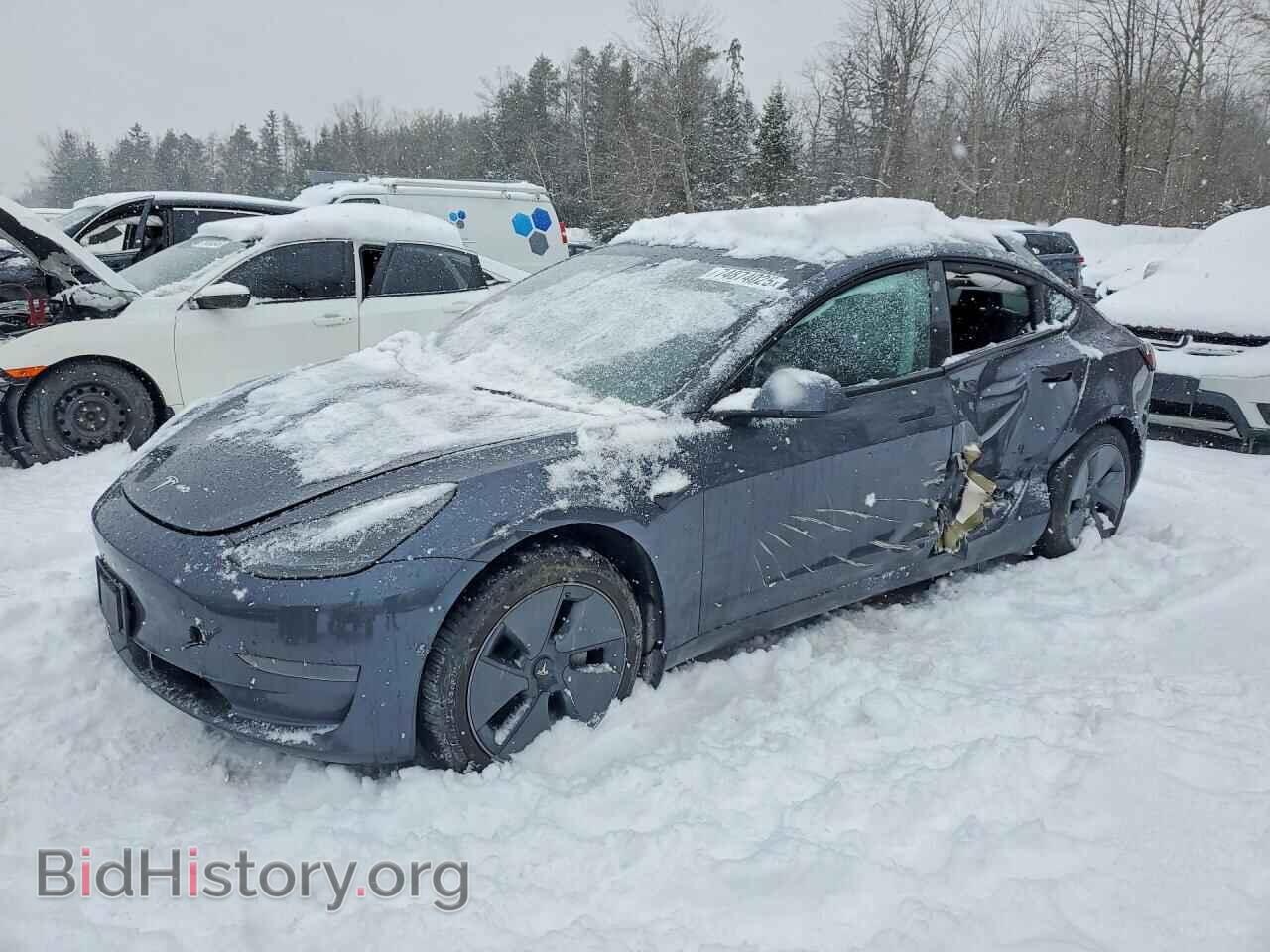Photo LRW3E1FA0PC933780 - TESLA MODEL 3 2023
