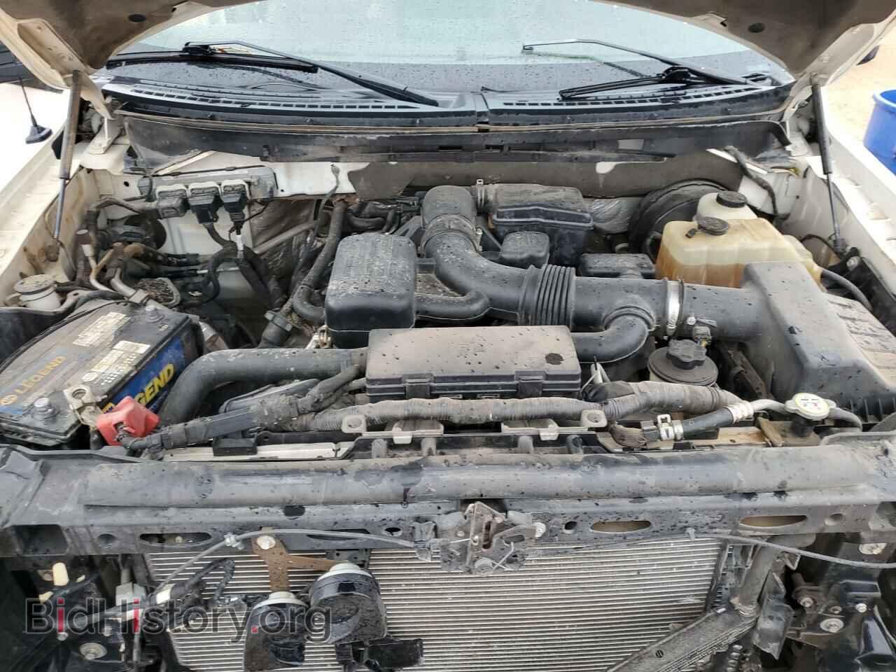 2009 FORD F150 - VIN: 1FTPW14V09FA93203 - Фото 11