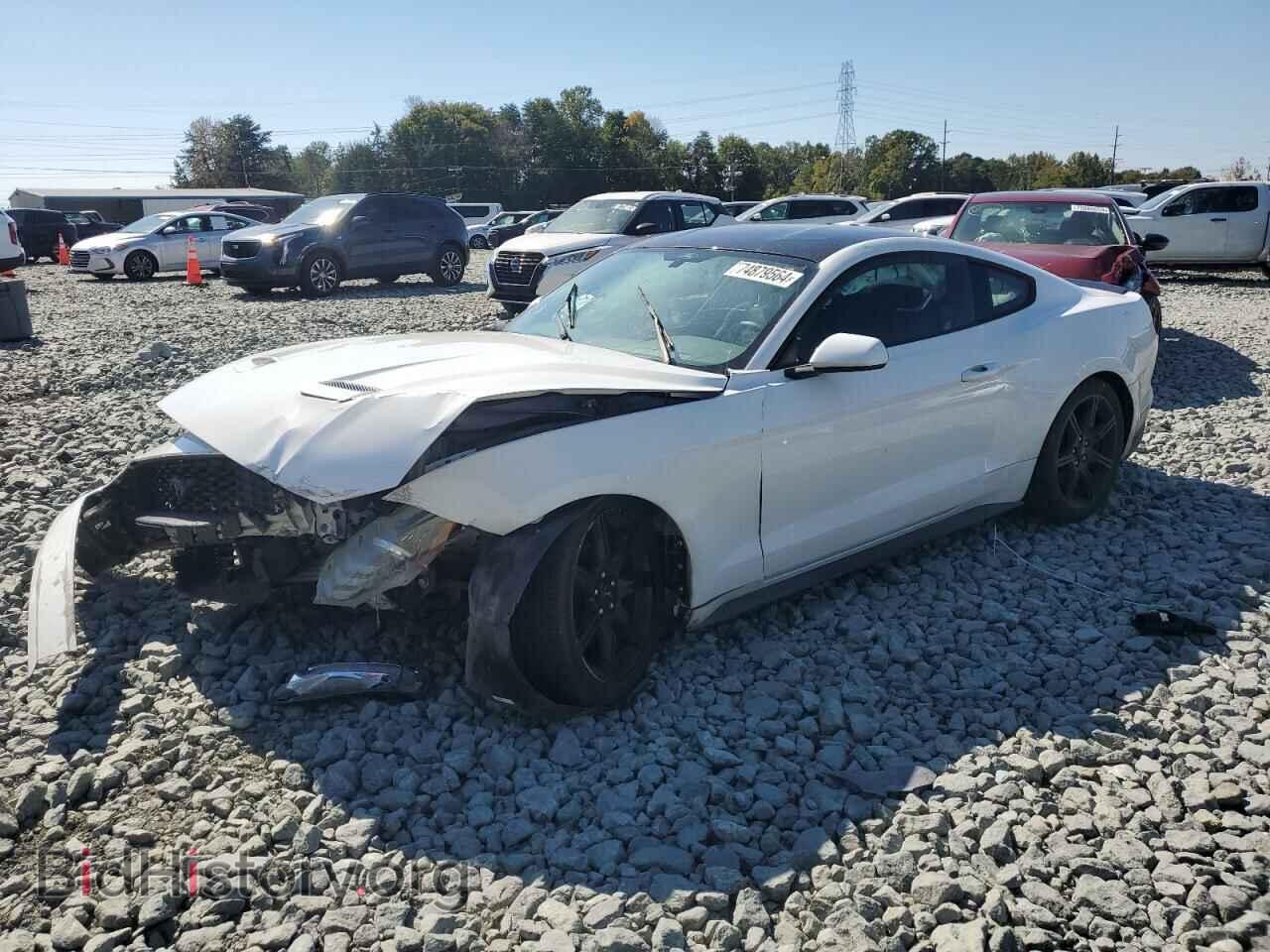 Фотография 1FA6P8TH9K5191306 - FORD ALL Models 2019