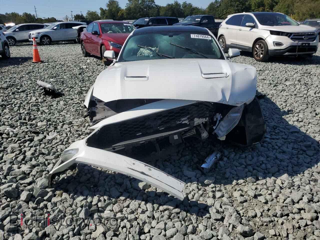 2019 FORD ALL Models - VIN: 1FA6P8TH9K5191306 - Фото 5