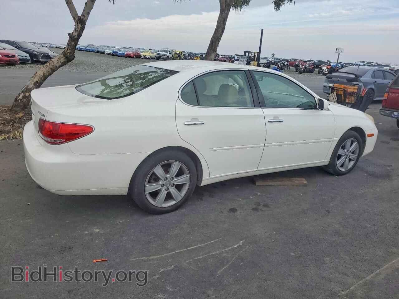 2005 LEXUS ES330 - VIN: JTHBA30G455091061 - Фото 3