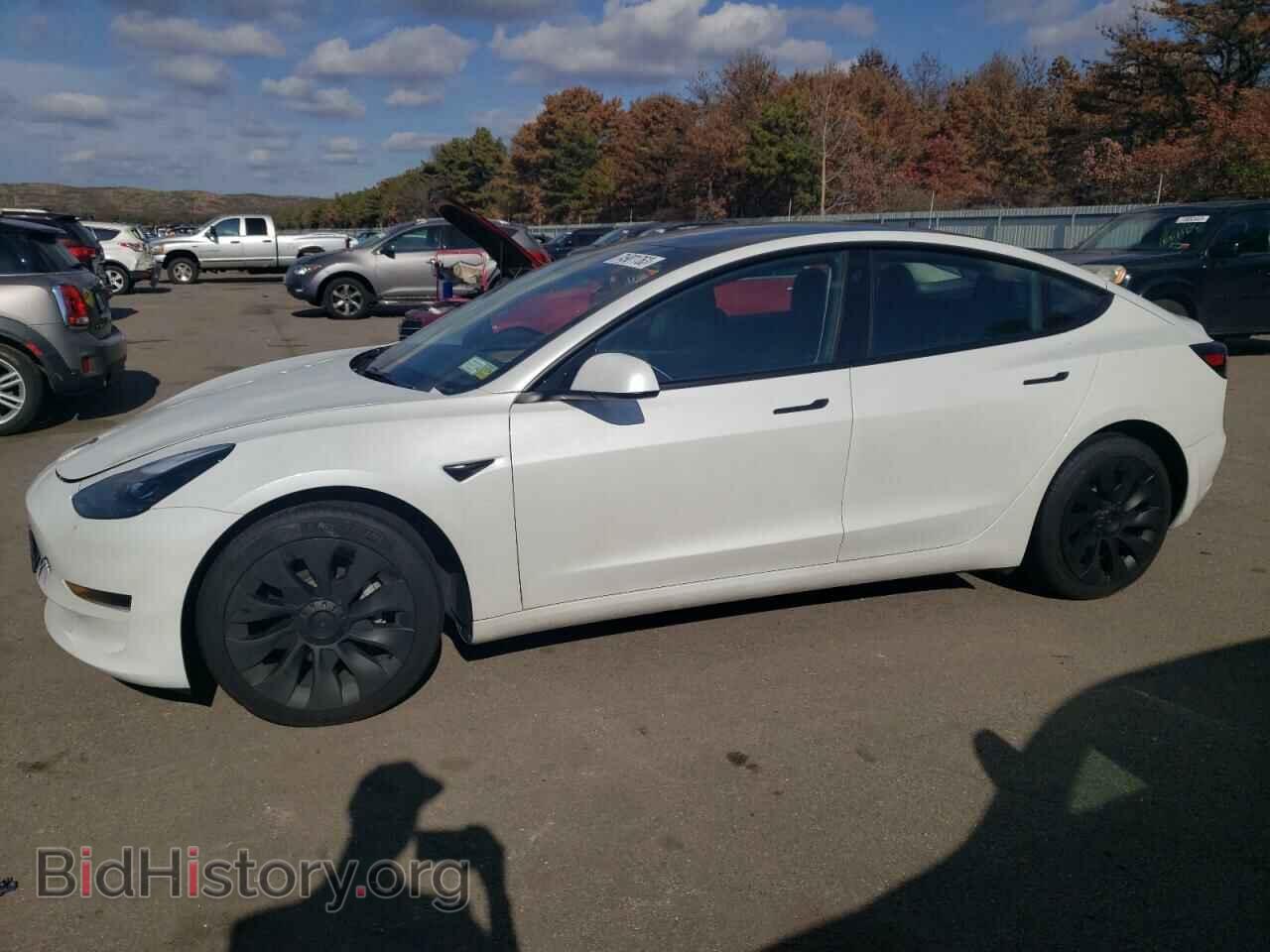 Фотография 5YJ3E1EA1PF420562 - TESLA MODEL 3 2023
