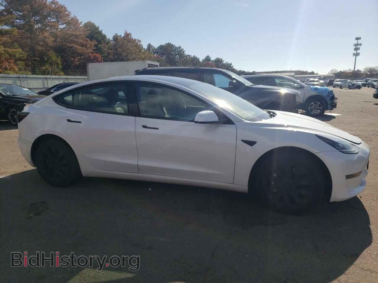 2023 TESLA MODEL 3 - VIN: 5YJ3E1EA1PF420562 - Фото 4
