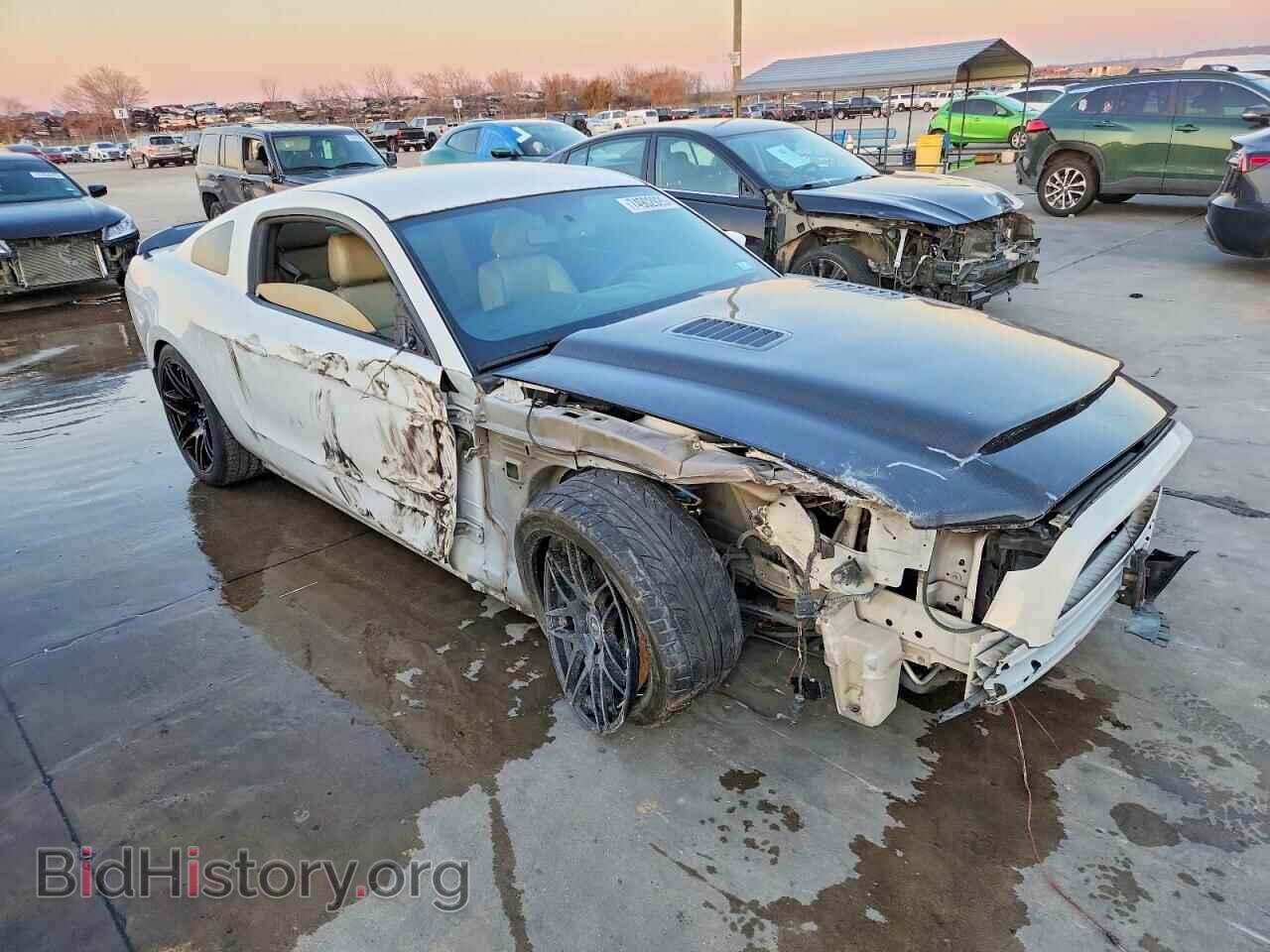 2013 FORD MUSTANG - VIN: 1ZVBP8CF4D5207418 - Фото 4