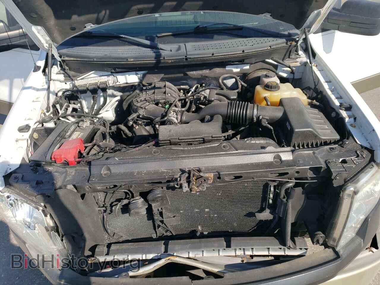 2013 FORD All Models - VIN: 1FTMF1CM2DKF15516 - Фото 11