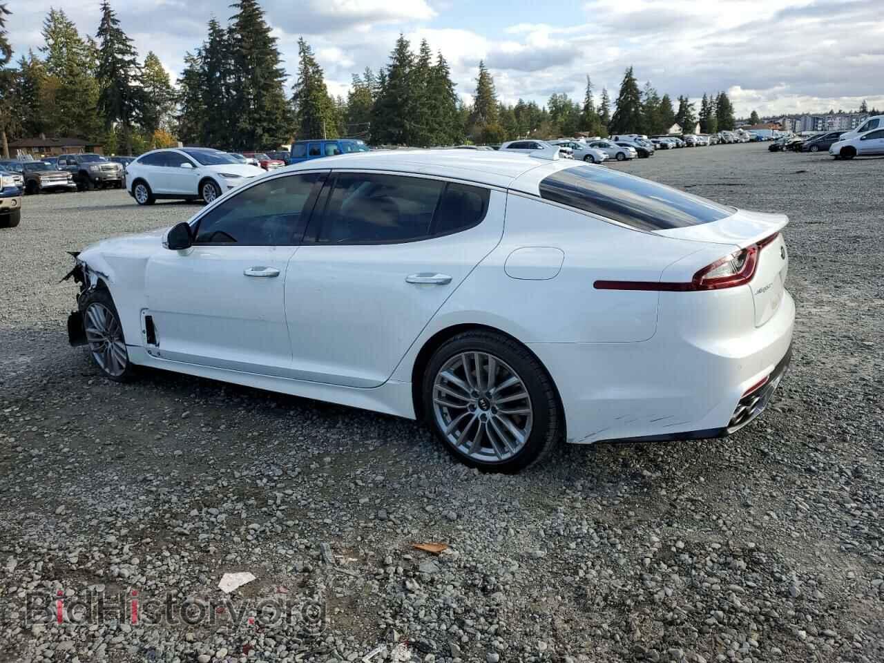 2018 KIA STINGER - VIN: KNAE15LA1J6031368 - Фото 2