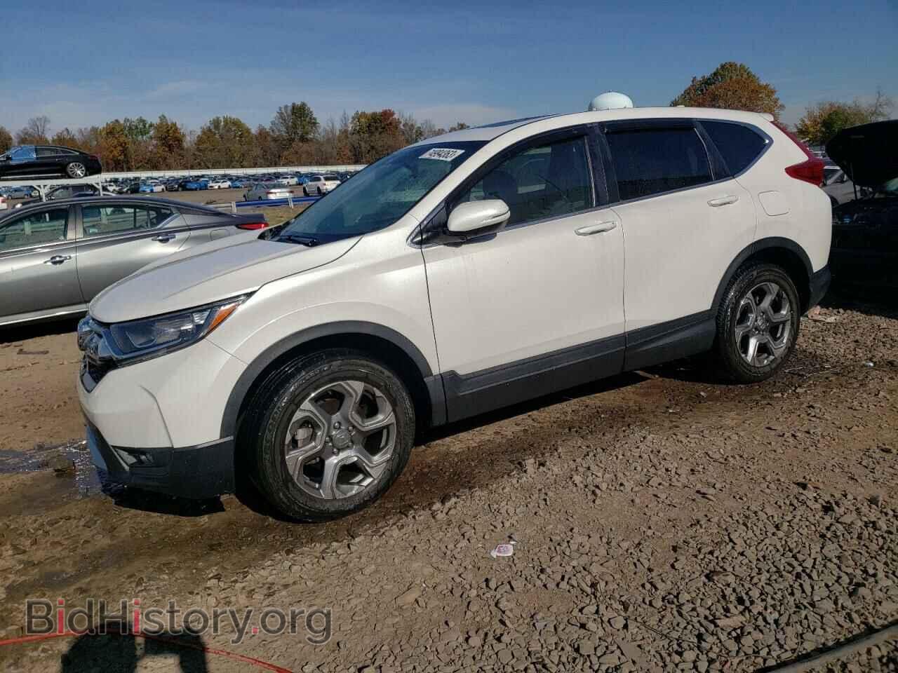 Photo 5J6RW2H53KL030087 - HONDA CRV 2019