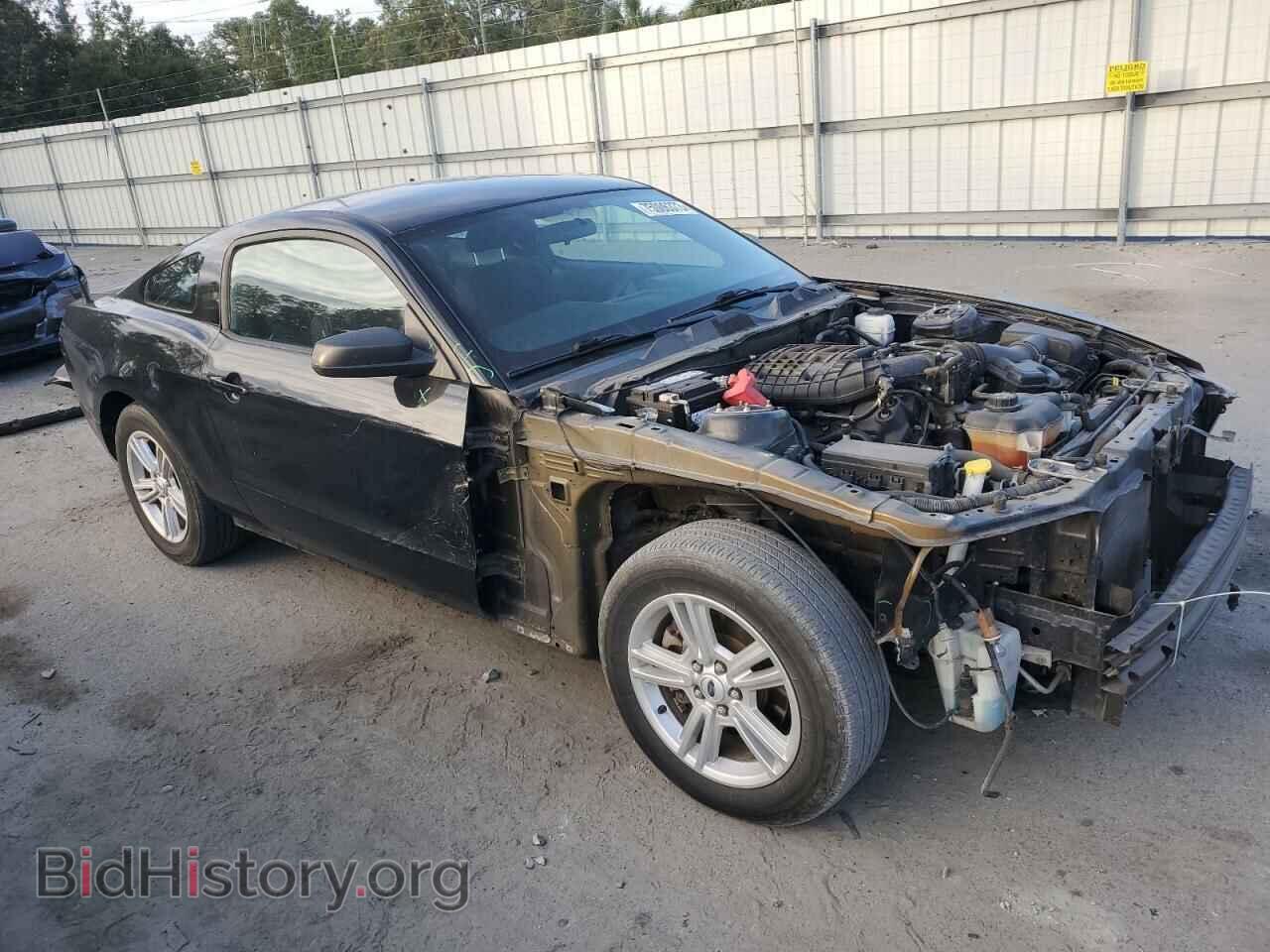2012 FORD ALL Models - VIN: 1ZVBP8AM2C5216263 - Фото 4