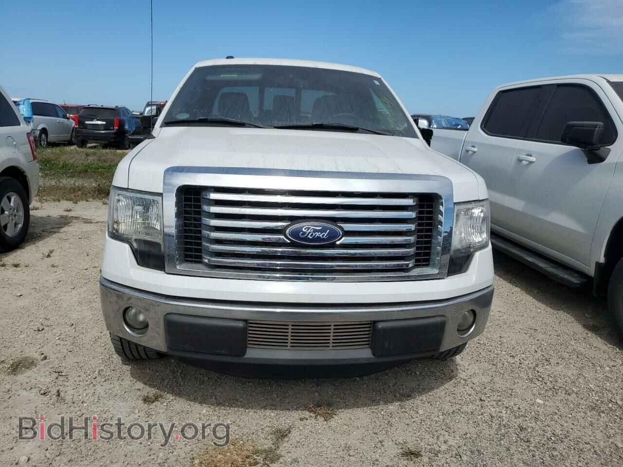 2011 FORD F-150 - VIN: 1FTFX1CT3BFB00126 - Фото 5