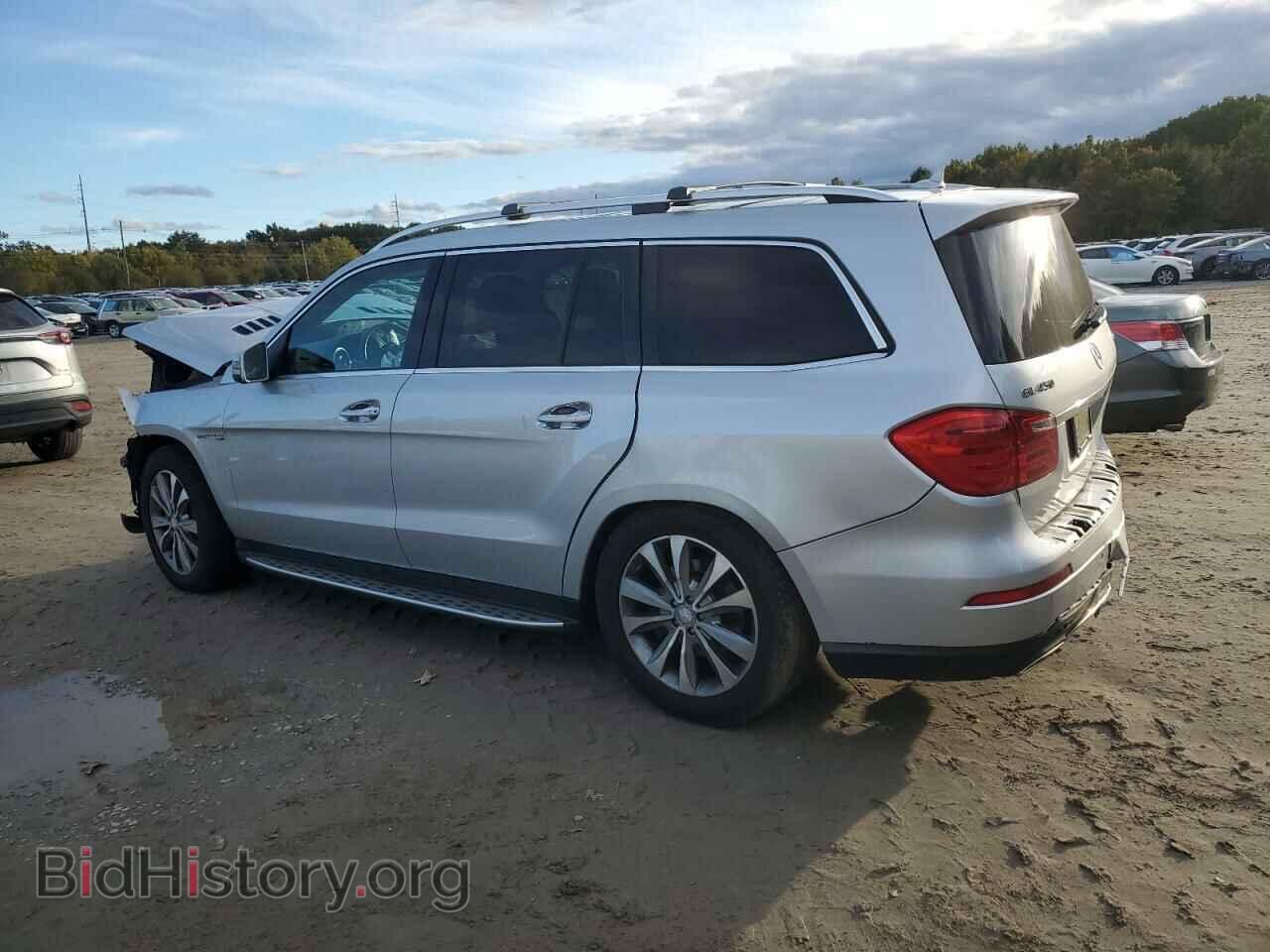 2013 MERCEDES-BENZ GL-CLASS - VIN: 4JGDF7CE3DA243524 - Фото 2