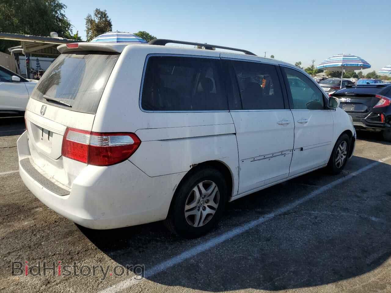 2006 HONDA All Models - VIN: 5FNRL38786B417071 - Фото 3