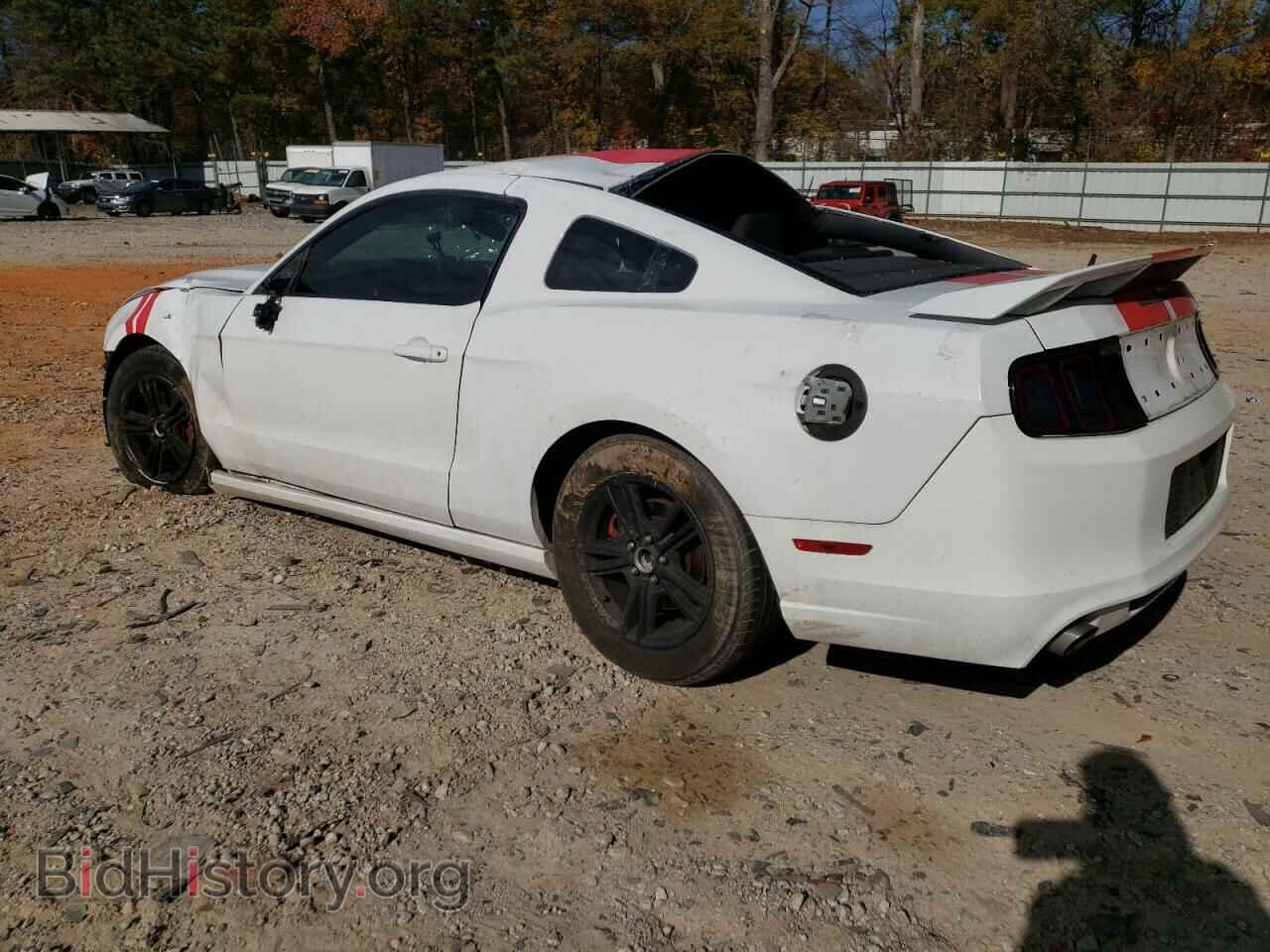 2014 FORD ALL Models - VIN: 1ZVBP8AM4E5288164 - Фото 2