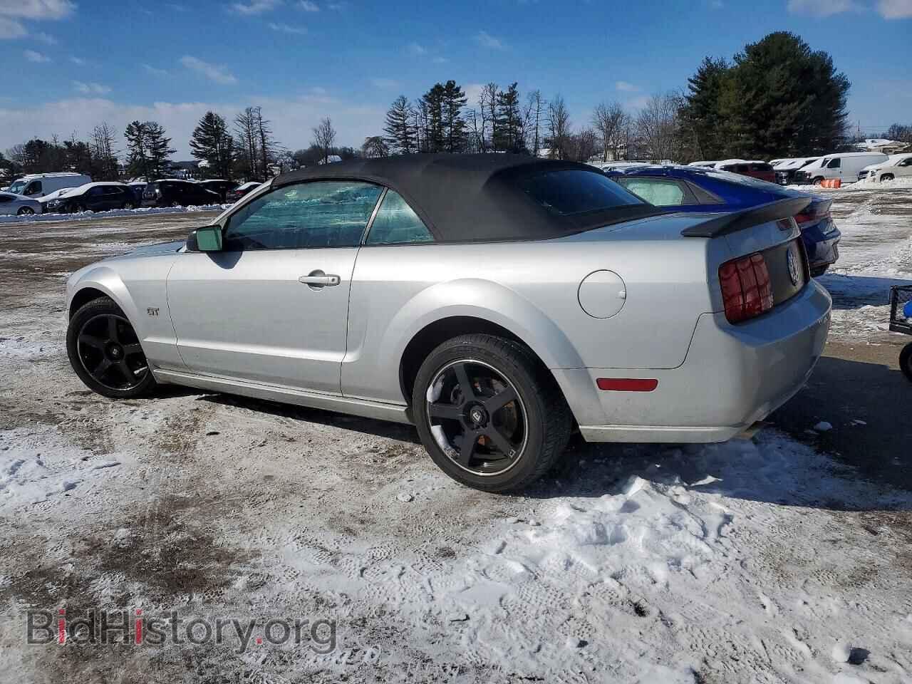 2006 FORD MUSTANG - VIN: 1ZVFT85H565238336 - Фото 2