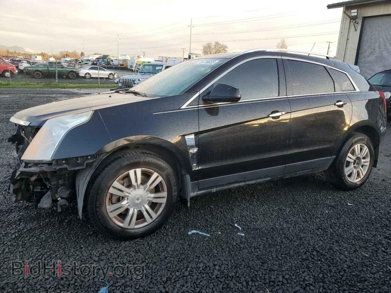 Фотография 3GYFNDE33CS653208 - CADILLAC SRX 2012
