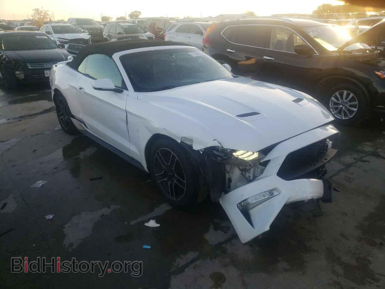 2019 FORD ALL Models - VIN: 1FATP8UH5K5149216 - Фото 4