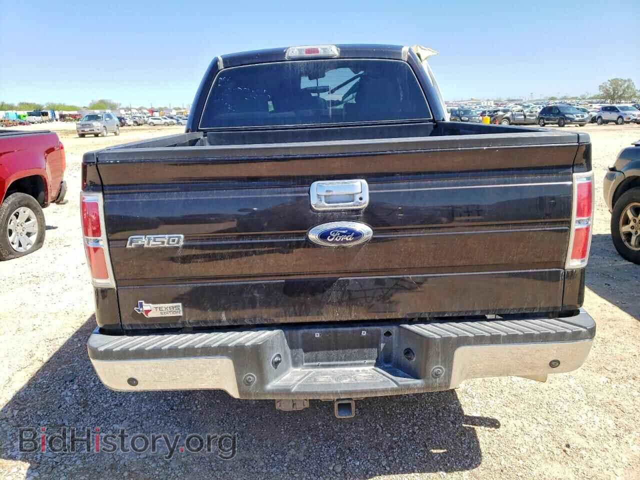 2013 FORD F-150 - VIN: 1FTFW1CT9DFA15605 - Фото 6