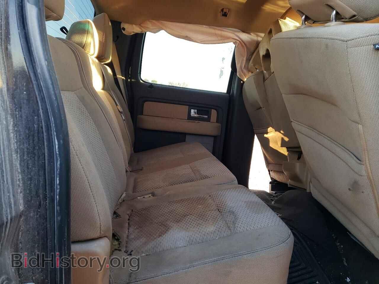 2013 FORD F-150 - VIN: 1FTFW1CT9DFA15605 - Фото 10