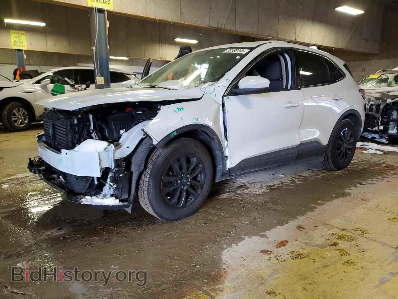 Photo 1FMCU0G62LUA00599 - FORD ESCAPE 2020