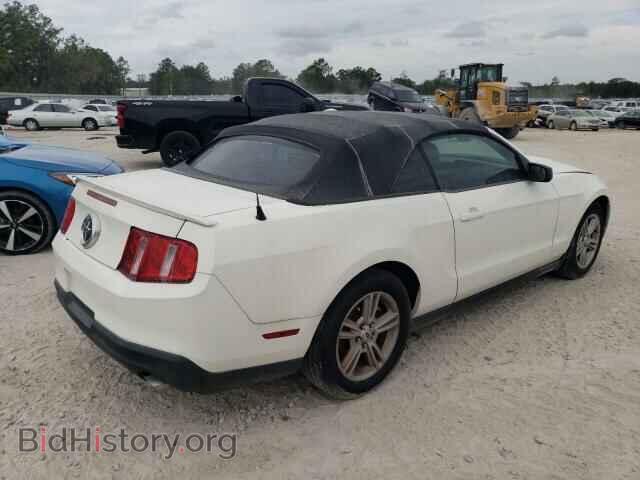 2012 FORD ALL Models - VIN: 1ZVBP8EM3C5276465 - Фото 3
