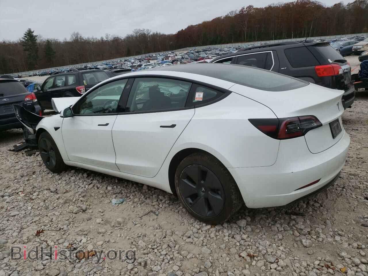2023 TESLA MODEL 3 - VIN: 5YJ3E1EB8PF390159 - Photo 2